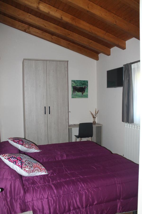 Hotel Rural Rio Molinar Ranera Buitenkant foto